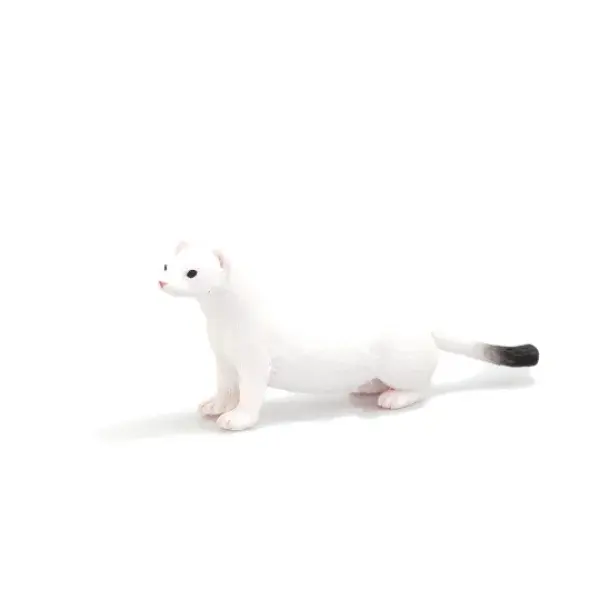 Mojo Lasice hranostaj zimní srst