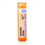 Spongia tosta 15CH granule 4g