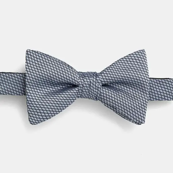 Hedvábný motýlek HUGO