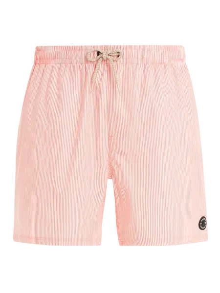 Pánské plážové šortky Protest PRTMANAMA