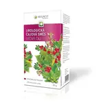 MEGAFYT Urologická čajová směs 20 sáčků I