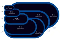 Záplata ZS 10 na opravu duší - 50x25 mm - 1 kus - Ferdus 1.09 Varianta: ZS 12 na opravu duší 100x50 mm. 25 ks
