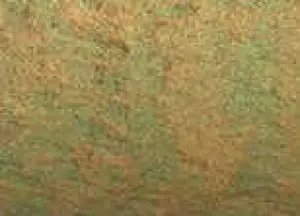 Akvarelová barva DS 15ml – 4037 Duochrome Saguaro Green