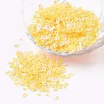 Ornament Accessories Plastic Paillette/Sequins Beads