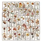 50Pcs Flower PET Stickers