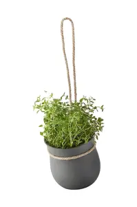 Rig-Tig  Květináč na bylinky  Grow-It