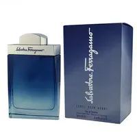 Salvatore Ferragamo Salvatore  Subtil pour Homme EDT 100 ml M