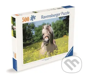 Plavý kůň - puzzle z kategorie Zvieratá