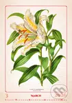 Herbarium 2026 - nástěnný kalendář