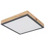 Globo LED PANEL, 30/30 cm