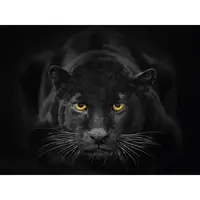 Euroart OBRAZ NA SKLE, zvířata, 30/40 cm