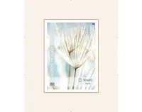 Klipový rámček 50x60 cm, čirý%