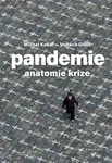 Pandemie Anatomie krize