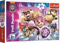 Puzzle Tlapková patrola Hrdinové z města 30 dílků
