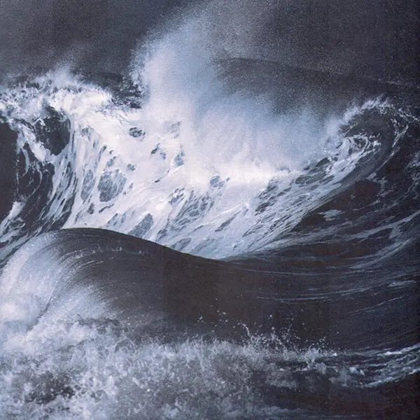 The Old Man and the Sea