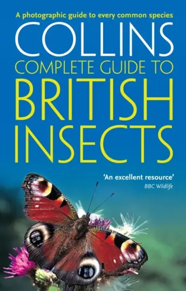British Insects - Michael Chinery
