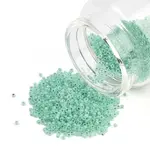 Glass Seed Beads