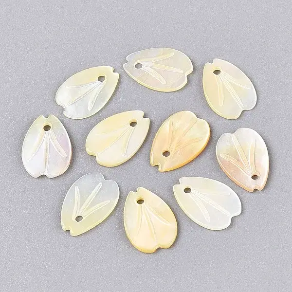 Natural Yellow Shell Charms