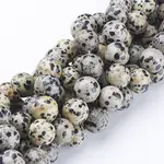 Natural Dalmatian Jasper Beads Strands