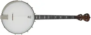 Deering Artisan Goodtime 17-Fret Tenor