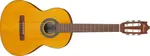 Ibanez GA2 Amber