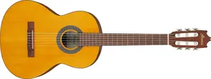 Ibanez GA2 Amber