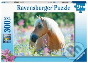 Kůň,Kůň - puzzle z kategorie Stavebnice