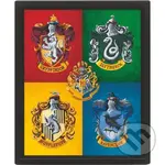 Harry Potter Obraz 3D - farebný