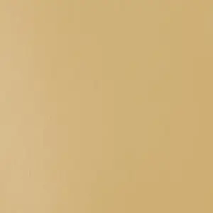 Akrylová barva Basics 22ml – 434 unbleached titanium