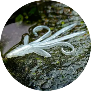 Redbass gumová nástraha nymfa white g - x 100 mm