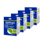 GS Ginkgo 60 mg s hořčíkem, 4 × 90 tablet
