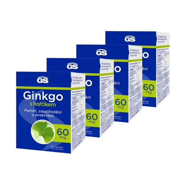 GS Ginkgo 60 mg s hořčíkem, 4 × 90 tablet