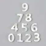 Natural White Shell Mother of Pearl Shell Charms