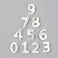 Natural White Shell Mother of Pearl Shell Charms