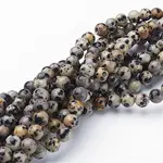 Natural Dalmatian Jasper Beads Strands