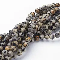 Natural Dalmatian Jasper Beads Strands