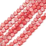 Natural Freshwater Shell Dyed Beads Strands
