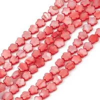Natural Freshwater Shell Dyed Beads Strands