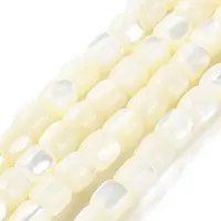 Natural Trochus Shell Beads Strands