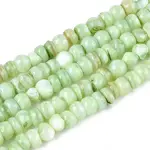 Natural Freshwater Shell Dyed Beads Strands