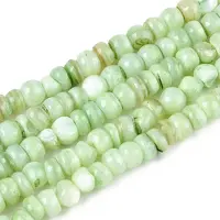Natural Freshwater Shell Dyed Beads Strands