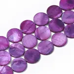 Freshwater Shell Beads Strands