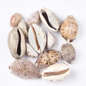 Cowrie Shell Pendants