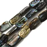 Natural Abalone Shell/Paua Shell Beads Strands