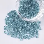8/0 Two Cut Glass Seed Beads