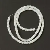 Natural Trochid Shell/Trochus Shell Beads