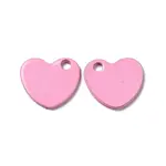 Spray Painted 201 Stainless Steel Charms