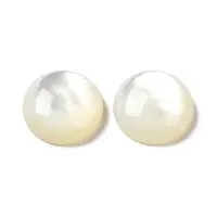 Natural White Shell Cabochons
