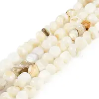 Natural Freshwater Shell  Beads Strands