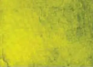 Akvarelová barva DS 15ml – 139 Green Gold